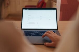 Overview of Ecommerce Shopping Cart Platforms