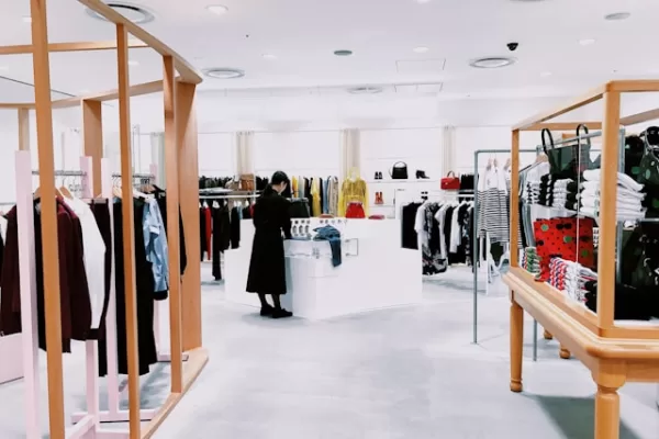 Understanding the B2C E-commerce Model